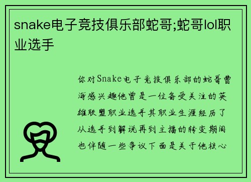 snake电子竞技俱乐部蛇哥;蛇哥lol职业选手